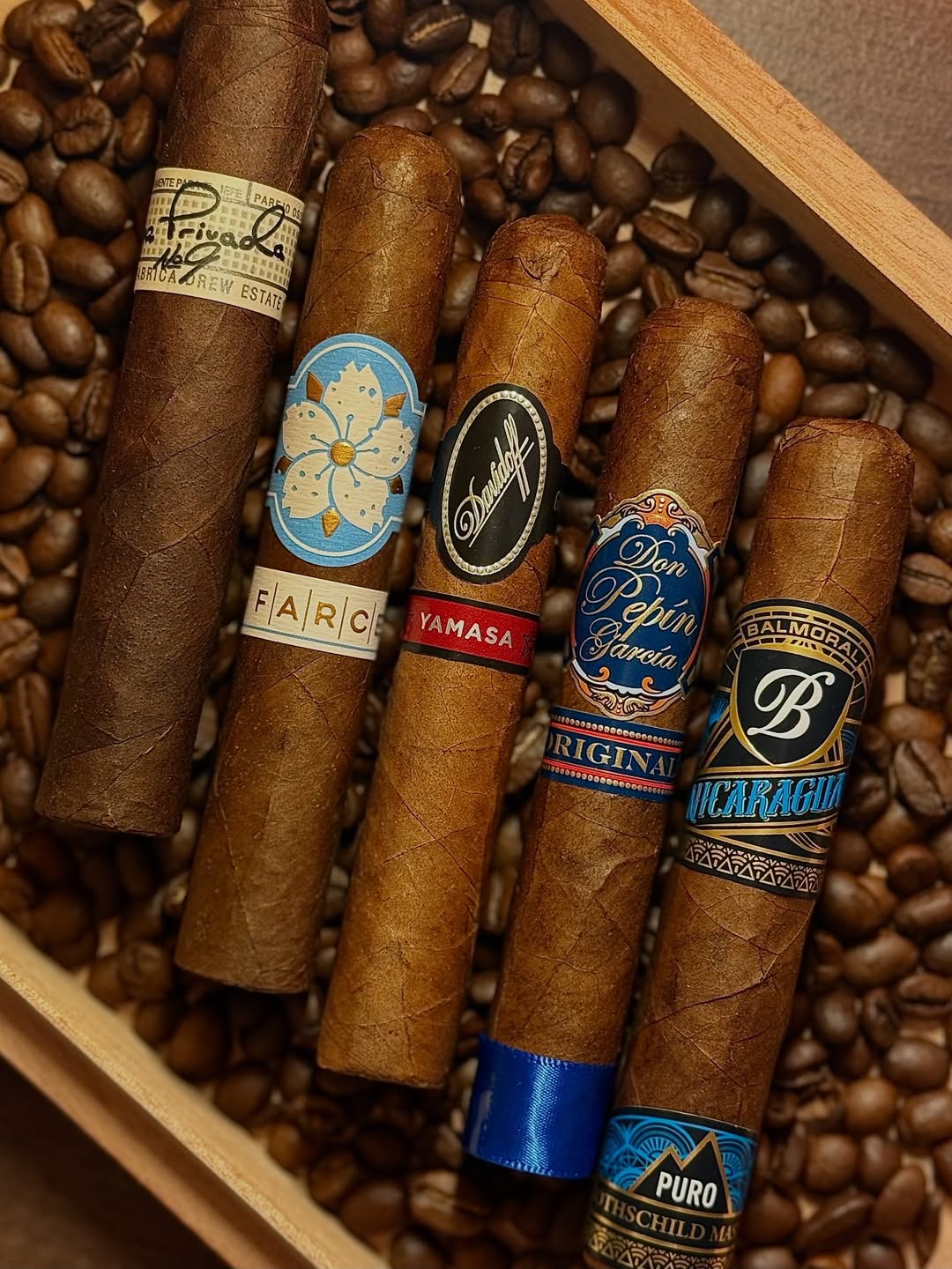 PUNCH MANTUA CIGAR (EX.ITALIA 2018)